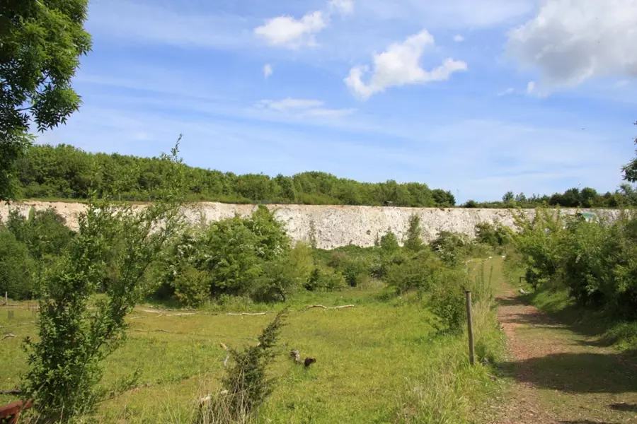 Monkton Nature Reserve